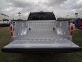 Ingot Silver Metallic - F150 Platinum SuperCrew Photo No. 12