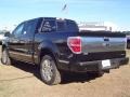 Ebony Black - F150 Platinum SuperCrew Photo No. 6