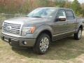 Sterling Grey Metallic - F150 Platinum SuperCrew Photo No. 3