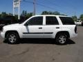 Summit White - TrailBlazer LS 4x4 Photo No. 10