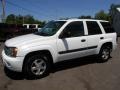 Summit White - TrailBlazer LS 4x4 Photo No. 11