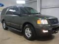 2005 Estate Green Metallic Ford Expedition XLT  photo #3