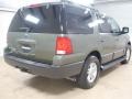 2005 Estate Green Metallic Ford Expedition XLT  photo #4