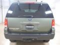 2005 Estate Green Metallic Ford Expedition XLT  photo #5