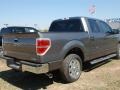 2011 Sterling Grey Metallic Ford F150 XLT SuperCrew  photo #6