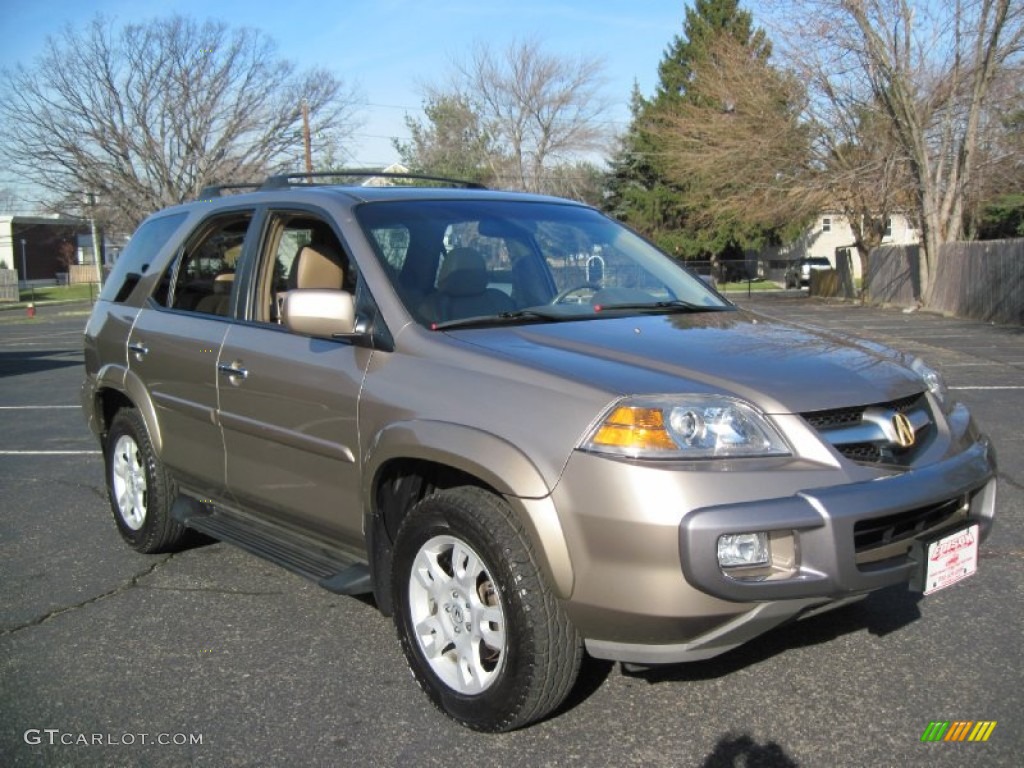 2004 MDX  - Sandstone Metallic / Saddle photo #11