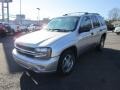 Silverstone Metallic - TrailBlazer LS 4x4 Photo No. 3