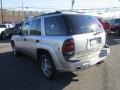 Silverstone Metallic - TrailBlazer LS 4x4 Photo No. 4