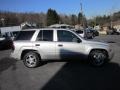 Silverstone Metallic - TrailBlazer LS 4x4 Photo No. 7