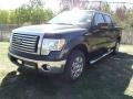 2011 Tuxedo Black Metallic Ford F150 XLT SuperCrew  photo #3