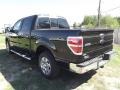 2011 Tuxedo Black Metallic Ford F150 XLT SuperCrew  photo #4