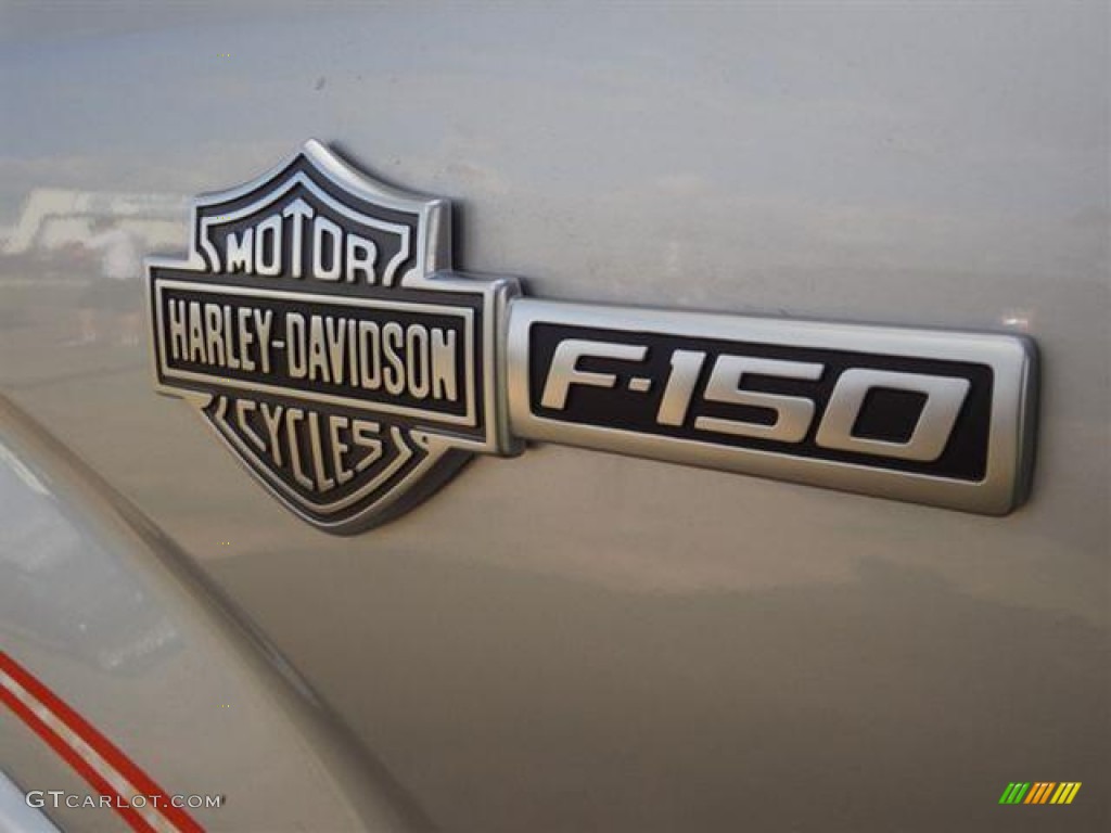 2011 F150 Harley-Davidson SuperCrew 4x4 - Ingot Silver Metallic / Black/Silver Smoke photo #14