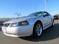 Silver Metallic 2003 Ford Mustang GT Coupe