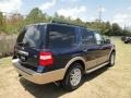 Dark Blue Pearl Metallic - Expedition XLT Photo No. 7