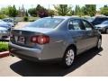 Platinum Grey Metallic - Jetta SE Sedan Photo No. 4