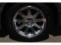 Magnesium Pearlcoat - 300 C HEMI Photo No. 9
