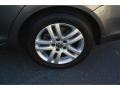 Platinum Grey Metallic - Jetta TDI Sedan Photo No. 9