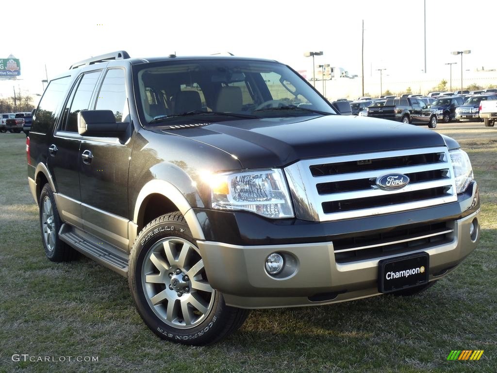 2011 Expedition XLT - Tuxedo Black Metallic / Stone photo #1