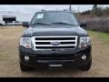 Tuxedo Black Metallic - Expedition XLT Photo No. 2