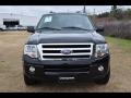 2011 Tuxedo Black Metallic Ford Expedition XLT  photo #2