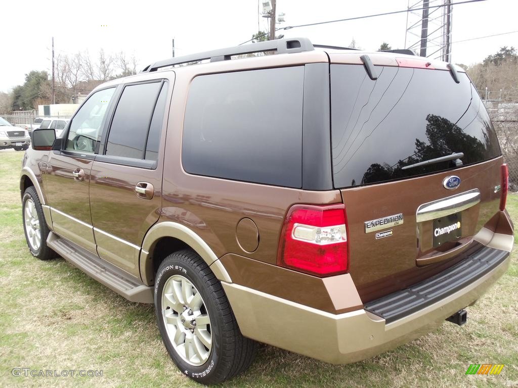 2011 Expedition XLT - Golden Bronze Metallic / Camel photo #5