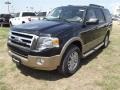 2011 Tuxedo Black Metallic Ford Expedition XLT  photo #3