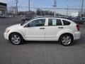 Stone White - Caliber SXT Photo No. 4