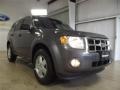 2012 Sterling Gray Metallic Ford Escape XLT V6  photo #3