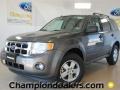 Sterling Gray Metallic - Escape XLT Photo No. 1