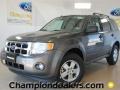 2012 Sterling Gray Metallic Ford Escape XLT  photo #1