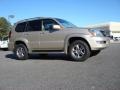 Savannah Beige Metallic - GX 470 Photo No. 2