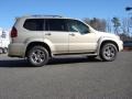 Savannah Beige Metallic - GX 470 Photo No. 3