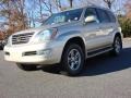 Savannah Beige Metallic - GX 470 Photo No. 5