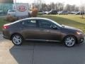 2012 Metal Bronze Kia Optima EX  photo #2