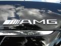 2008 Mercedes-Benz S 63 AMG Sedan Marks and Logos