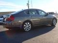 Umbria Gray Metallic - M 35 Sedan Photo No. 5