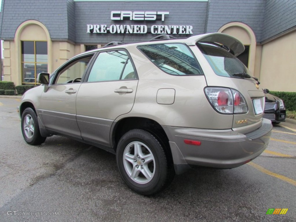 2001 RX 300 - Burnished Gold Metallic / Ivory photo #2