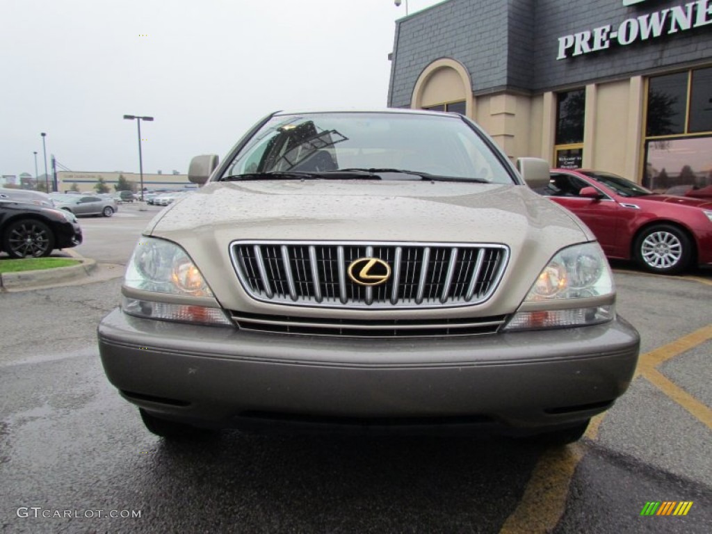 2001 RX 300 - Burnished Gold Metallic / Ivory photo #6