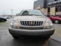 Burnished Gold Metallic - RX 300 Photo No. 6