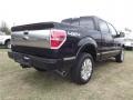 Tuxedo Black Metallic - F150 Platinum SuperCrew 4x4 Photo No. 6