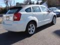 Stone White - Caliber SXT Photo No. 4