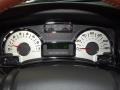 Chaparral Gauges Photo for 2012 Ford Expedition #57424628