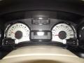 Camel Gauges Photo for 2012 Ford Expedition #57425630