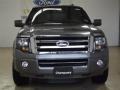 Sterling Gray Metallic - Expedition Limited Photo No. 2