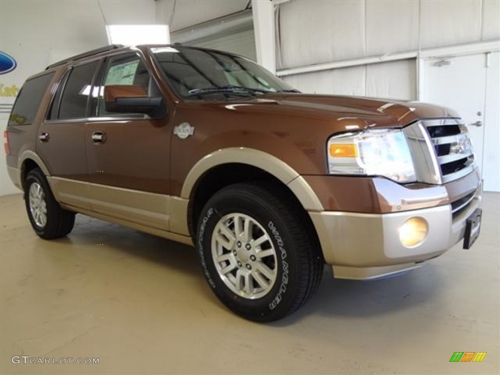 Golden Bronze Metallic 2012 Ford Expedition King Ranch Exterior Photo #57428462
