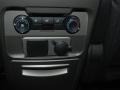 Mineral Gray Metallic - Flex SE Photo No. 12