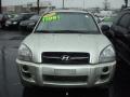 2007 Platinum Metallic Hyundai Tucson GLS  photo #9