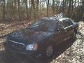 2002 Sable Black Cadillac DeVille DHS  photo #10