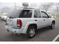 Silverstone Metallic - TrailBlazer LS 4x4 Photo No. 6