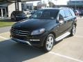 Black - ML 350 4Matic Photo No. 1